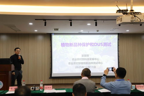 以技術創新驅動產業升級 全國馬鈴薯種業高質量發展交流會在渝召開，共探農業科技研發新路徑