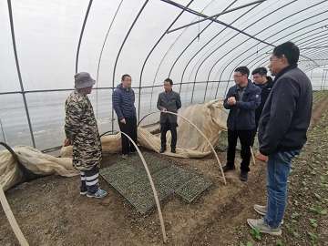 科技賦能百業(yè)，智慧農(nóng)業(yè)守護常熟種質(zhì)未來