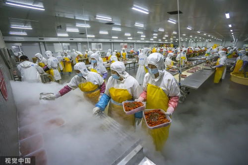 打1折的臨期食品，到底能不能吃？農(nóng)業(yè)科技研發(fā)給出答案