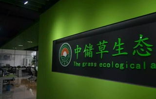 跨省交流促發(fā)展 江門市養(yǎng)豬協(xié)會(huì)赴河南考察農(nóng)業(yè)科技研發(fā)